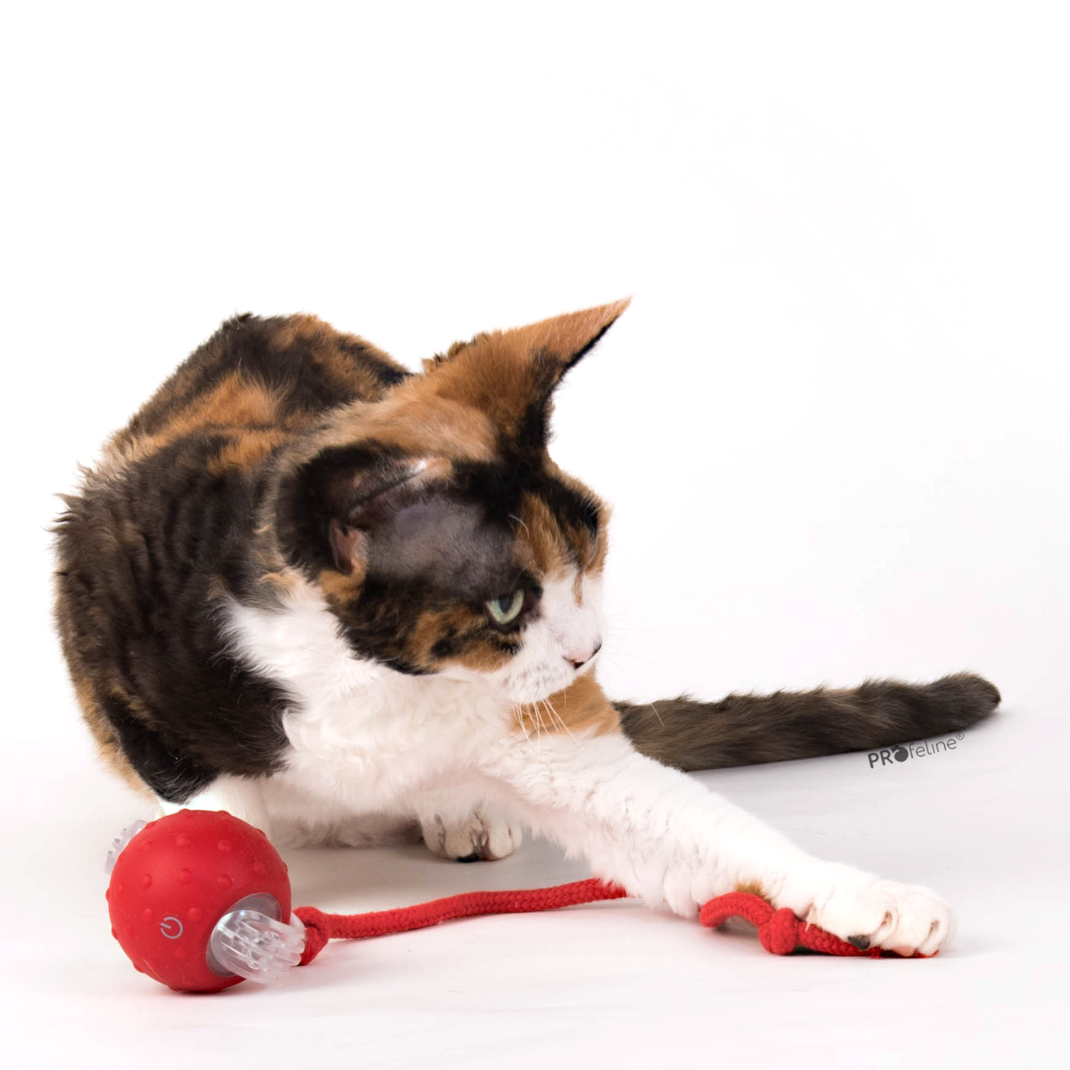 Elektrisches Katzenspielzeug Ball rot USB